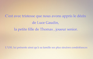 Au revoir à un ange