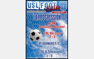 22.02.2015 - ACPR Pouzauges Reaumur – USL A