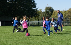 Entraînements de U6 à U12