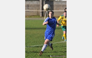 50b48f4c87bb2_25.11.2012 - Féminine A - SHOC - 1248.jpg