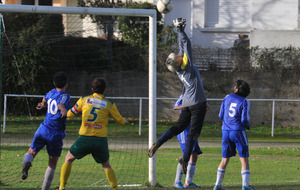 50b48f5227671_25.11.2012 - Féminine A - SHOC - 1252.jpg