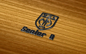518750b7dd3e4_LogoSeniorA.jpg