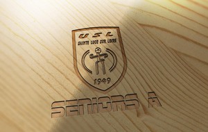 52645cf471f9d_WoodLogo1.jpg