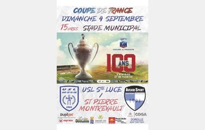 57d125a42e42e_CoupedeFrance20162017.jpg