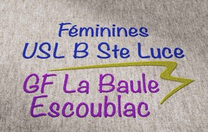 57fc9afc29377_FmiUSLBGFLaBaule.jpg