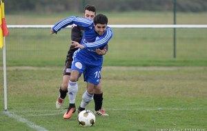 5a3409d388598_03122017DSC9235.jpg