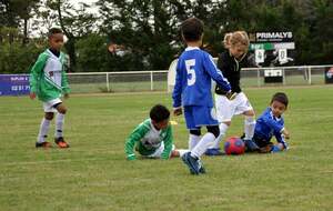 Plateau aux Sorinières - 26/09/20