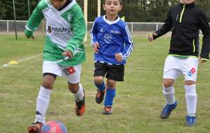 Plateau aux Sorinières - 26/09/20