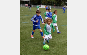 Plateau aux Sorinières - 26/09/20