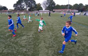 Plateau aux Sorinières - 26/09/20