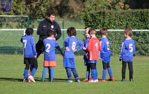 12.11.2022 Plateau à Ste Luce