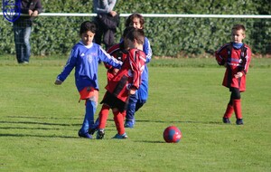 12.11.2022 Plateau à Ste Luce