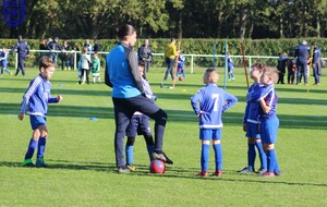 12.11.2022 Plateau à Ste Luce