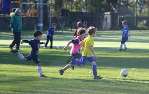 Entrainement U6-U7 12-11-2022
