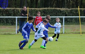 15.04.2023 Plateau à Ste Luce