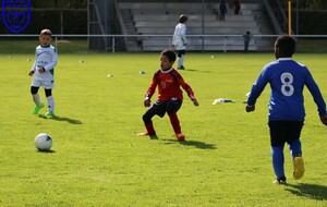 15.04.2023 Plateau à Ste Luce