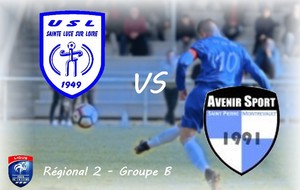 USL Ste Luce 1 - ST-PIERRE MONTREVAULT AS