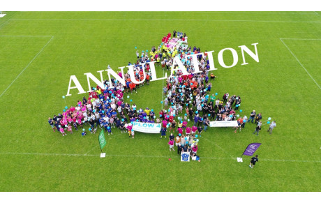 Annulation Plow4 2020