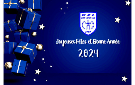 JOYEUSES FETES ET BONNE ANNEE